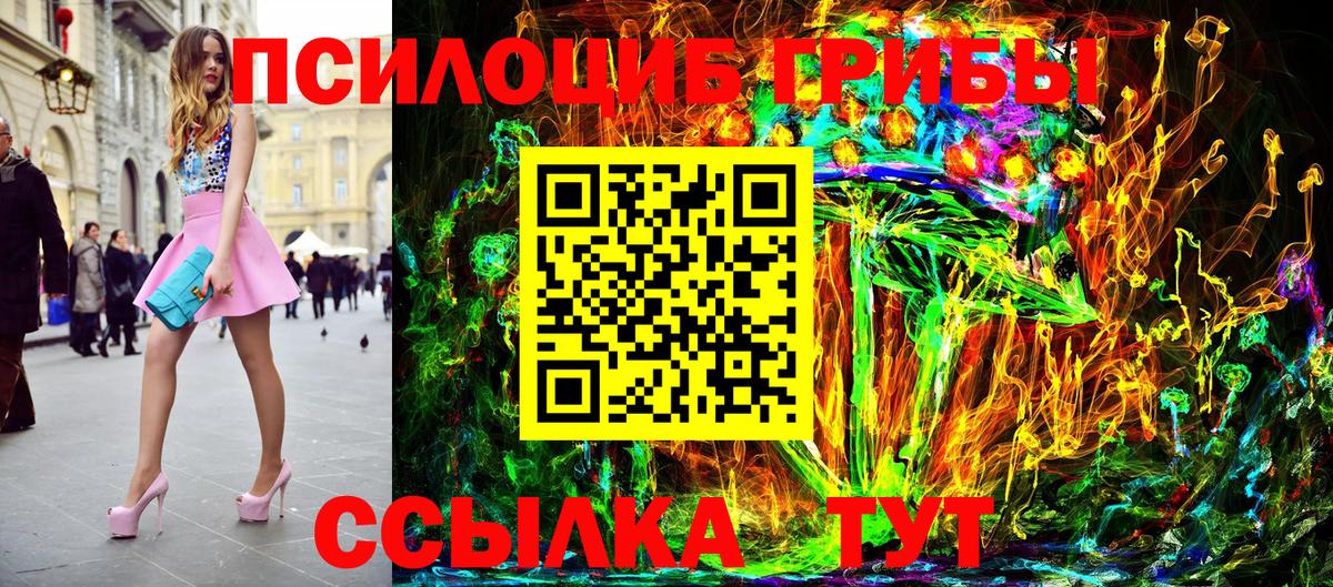 Сосновоборск  Галлюциногенные грибы Psilocybine cubensis  Вход с VPN 