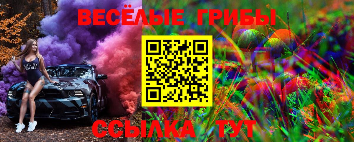 Галлюциногенные грибы Psilocybine cubensis Сосновоборск