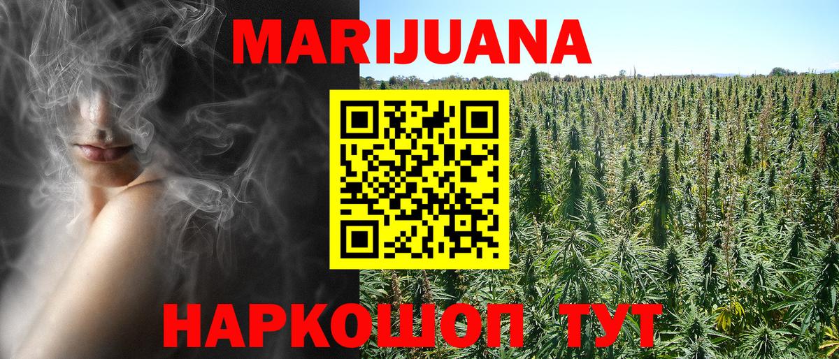 Конопля гибрид Сосновоборск